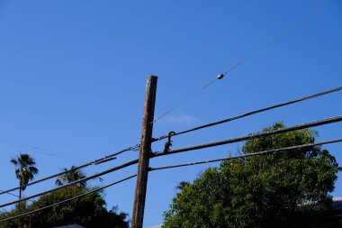 Kablolu elektrik direği