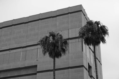 Binanın cephesinin ayrıntıları ve elemanları. Şehrin mimarisi. Tasarım için arka plan görüntüsü.