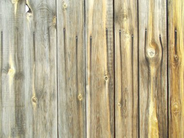 Tasarımınız için ahşap doku