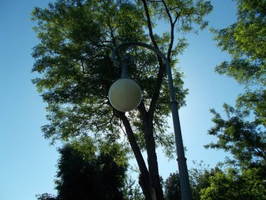 Fener bir şehir sokak üzerinde