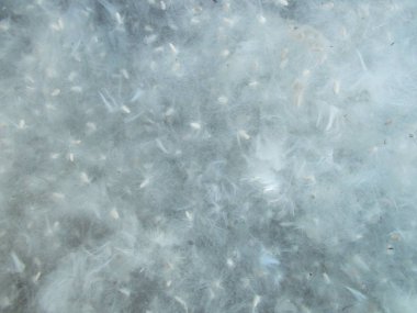 Tasarımcının doğal arkaplanı.