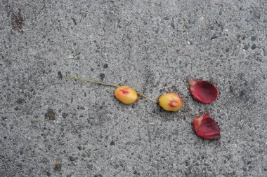 Beton duvar yüzeyi. Tasarımcının arkaplanı