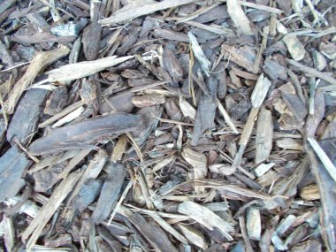 Tasarımınız için ahşap doku