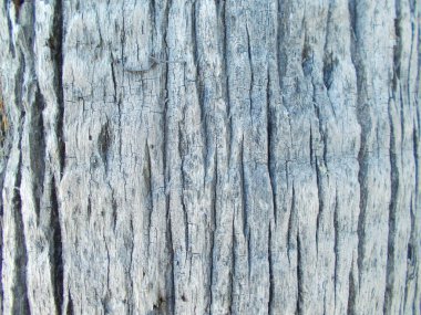 Tasarımınız için ahşap doku