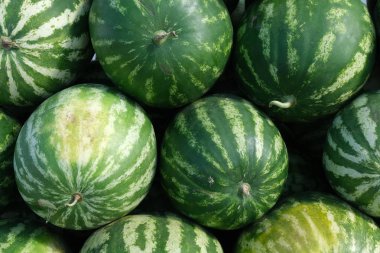 Şehir pazarında karpuzlar