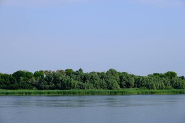 Tasarımcının doğal arkaplanı.