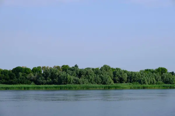 Přírodní Zázemí Pro Návrháře — Stock fotografie