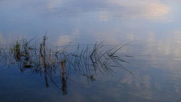 Закат Реке Закате Отражение Воде Поверхность Воды — стоковое фото