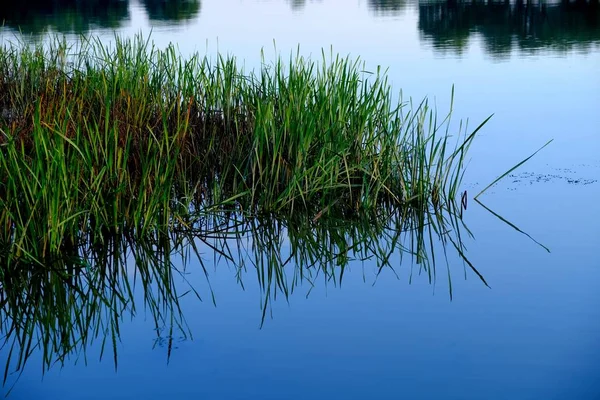 Coucher Soleil Sur Rivière Crépuscule Réflexion Dans Eau Surface Eau — Photo