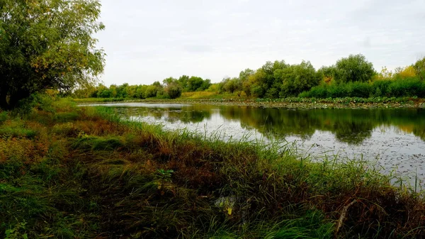 Озеро Лесу Отражение Деревьев Воде — стоковое фото