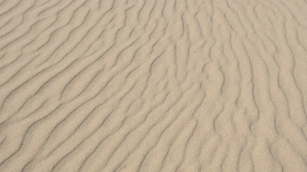 Sand Vid Floden Oskärpa Bakgrund Mall För Utformning — Stockfoto