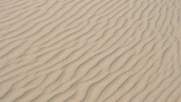 Sand Vid Floden Oskärpa Bakgrund Mall För Utformning — Stockfoto