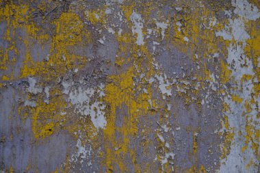 Bir binanın alçılı duvar yüzeyi