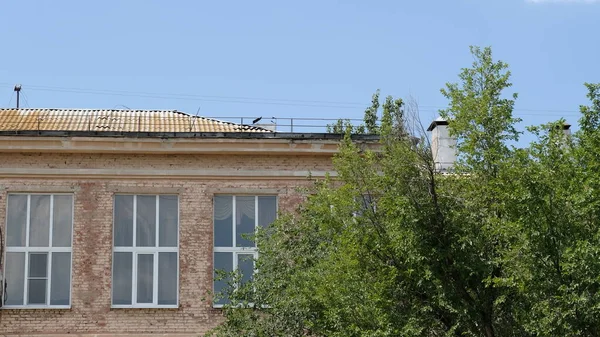 Elemente Und Details Der Fassade Von Gebäuden Russland — Stockfoto