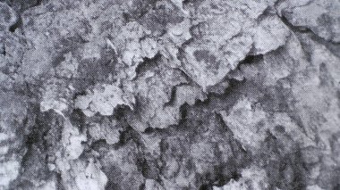 Kağıt üzerinde siyah beyaz lekeler.