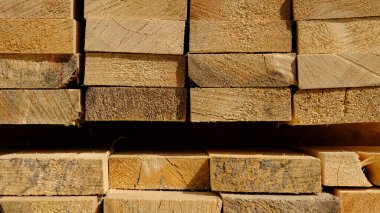 Tahtalar bir depoya istiflenmiş.