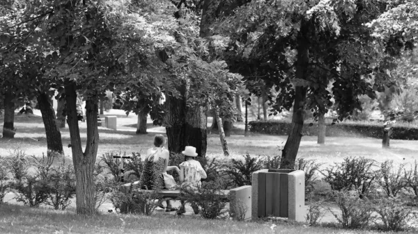 Een Vrouw Met Een Kind Zit Een Bankje Een Stadspark — Stockfoto