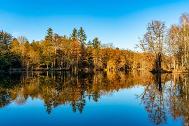 Ağaçların Yansımaları Dammsmühle