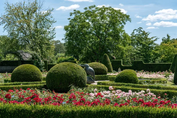 formal rosarium with trimmed bushes
