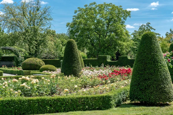 Formal rosarium with trimmed bushes — Stock Photo, Image
