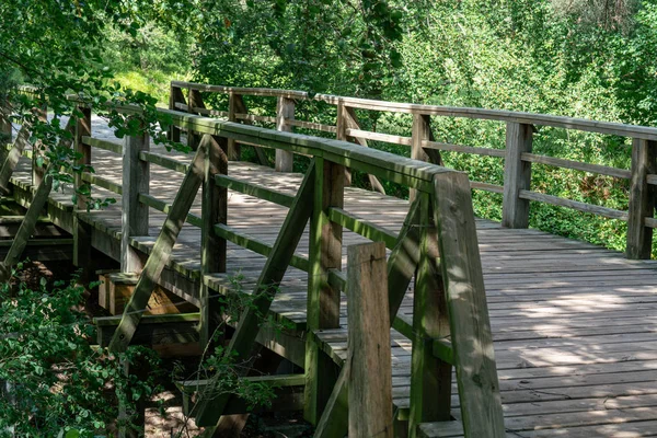 Passerelle piétonne en bois avec nature sauvage — Photo