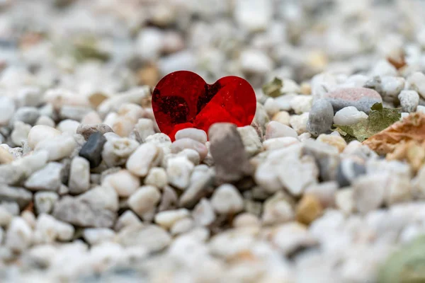 a shiny red heart lost on a path of white pebbles