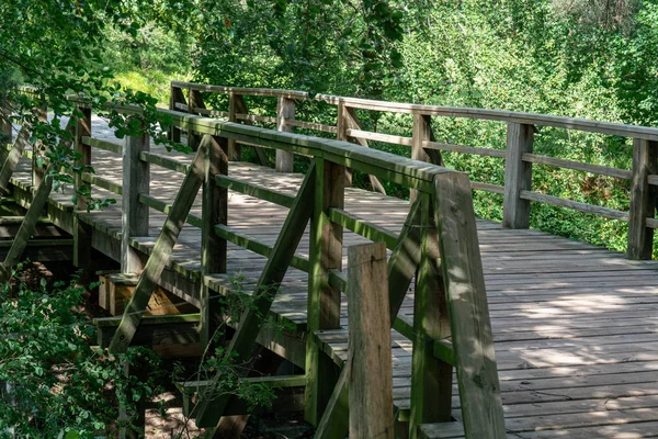Puente peatonal de madera con naturaleza salvaje — Foto de Stock