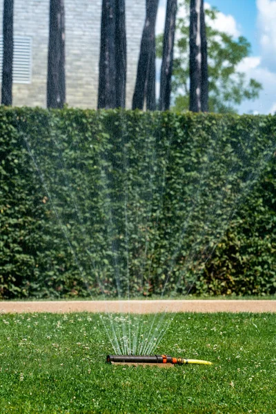 夏の芝生に水をやる — ストック写真
