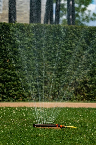 夏の芝生に水をやる — ストック写真