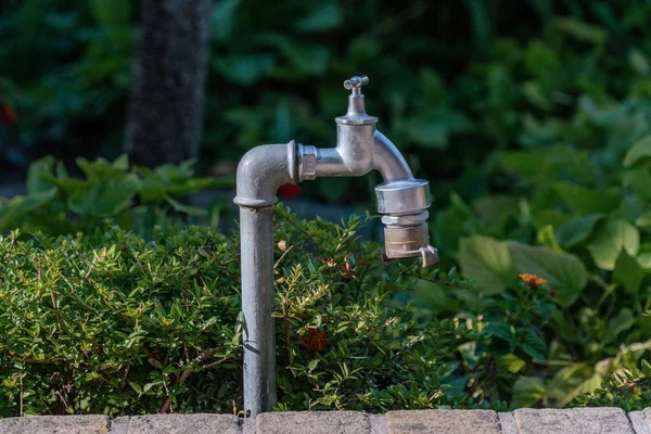 緑豊かな植物と自立した庭の水の水道 — ストック写真