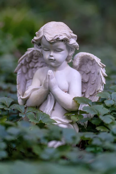 Statua di un piccolo cherubino che prega come decorazione su una tomba — Foto Stock