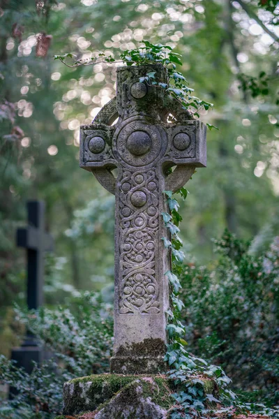 Monumento a la cruz de piedra celta cubierto de hiedra en un cementerio — Foto de Stock