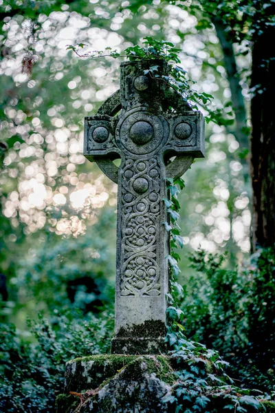 Croix de pierre celtique monument recouvert de lierre sur un cimetière — Photo