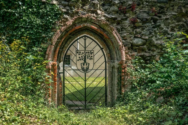 Ancienne Porte Métallique Dans Mur Recouvert Lierre Une Ruine Une — Photo