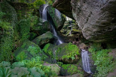 Lichtenhainer şelalesi, Bad Schandau yakınlarındaki Kirnitzsch vadisinde Almanya 'daki Sakson İsviçre Ulusal Parkı' nda.