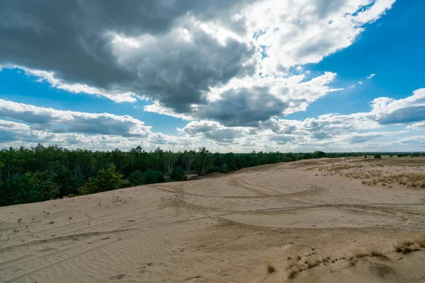 Brandenburg, Almanya 'daki Jueterbataklık askeri eğitim bölgesinde kum tepecikleri kayıyor