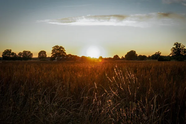 Puesta Sol Sobre Campo Oro Una Noche Otoño Semlin Havelaue — Foto de Stock