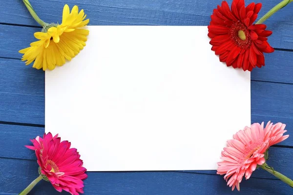 Dört renkli çiçek gerberas ile mavi ahşap bir arka plan üzerinde kutlama, çizim ve metin için sanat alay. Düz yatıyordu. Yaratıcılık kavramı. Boş sayfa.