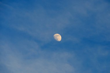 Yakın çekim, dolunay değil. Gün boyunca gökyüzünde.