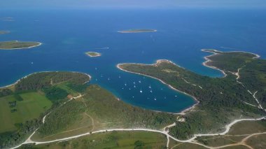 Okyanus Körfezi üzerinde uçan