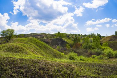 Yaz aylarında Güney Ural güzel manzara, Rusya
