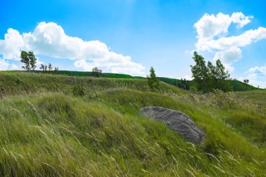 Yaz aylarında Güney Ural güzel manzara, Rusya