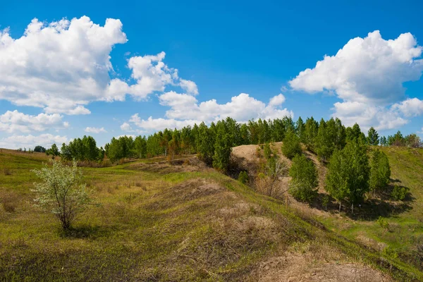 Yaz aylarında Güney Ural güzel manzara, Rusya