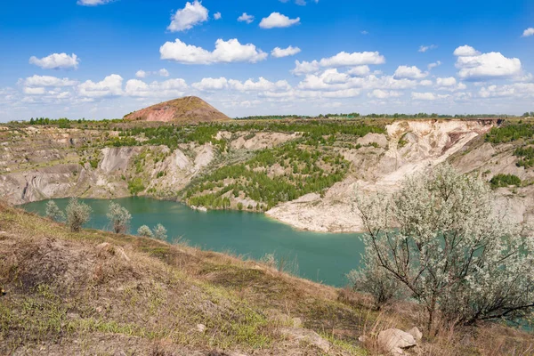 Yaz aylarında Güney Ural güzel manzara, Rusya