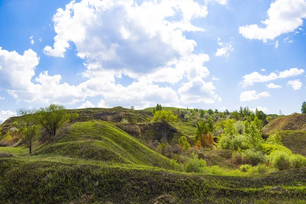 Yaz aylarında Güney Ural güzel manzara, Rusya