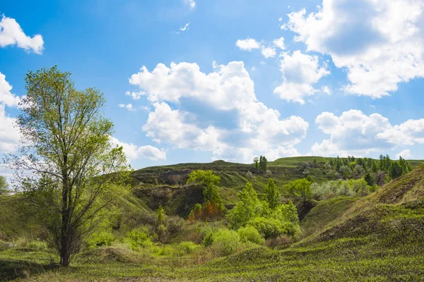 Yaz aylarında Güney Ural güzel manzara, Rusya