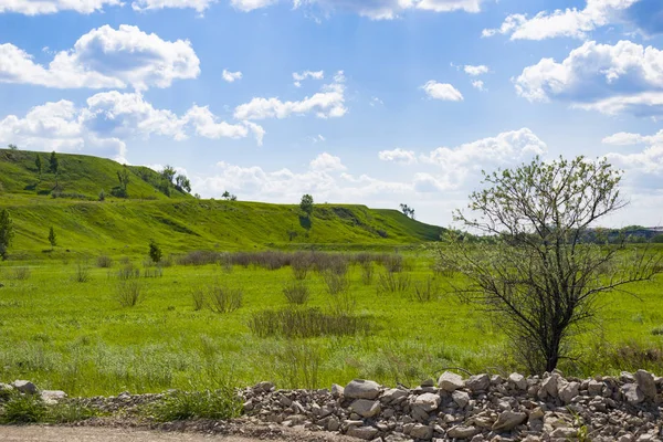 Yaz aylarında Güney Ural güzel manzara, Rusya