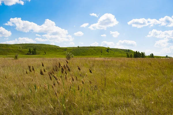 Yaz aylarında Güney Ural güzel manzara, Rusya
