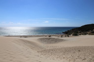 Duna de Bolonia