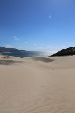 Duna de Bolonia